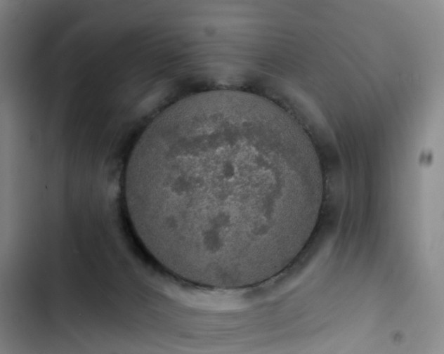 X0000102770032200808251103