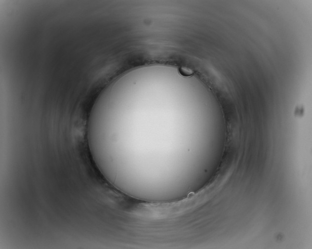 X0000102770033200808251103