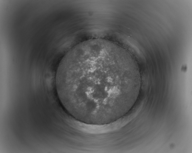 X0000102770034200808251102