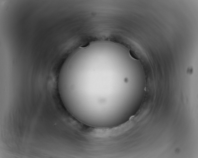 X0000102770037200808251102