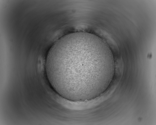 X0000102770038200808251102