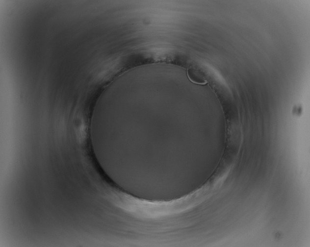 X0000102770039200808251102