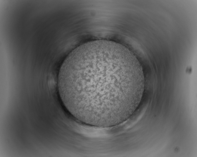 X0000102770040200808251102