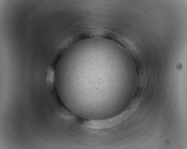 X0000102770041200808251102