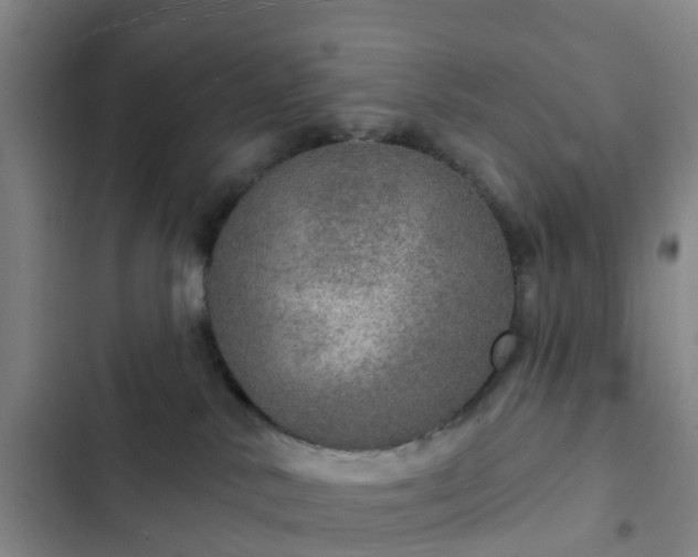 X0000102770042200808251102