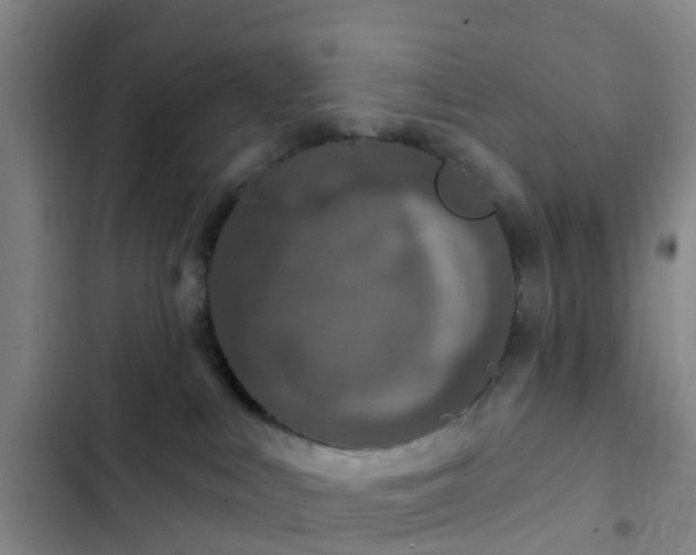 X0000102770043200808251102