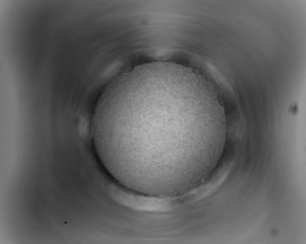 X0000102770044200808251102