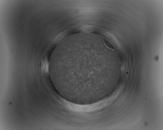 X0000102770046200808251102