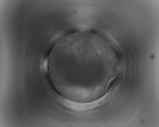 X0000102770047200808251102