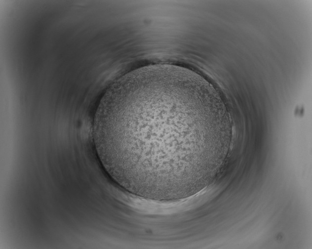 X0000102770048200808251102