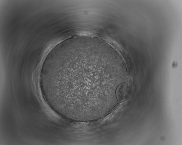 X0000102770049200808251102