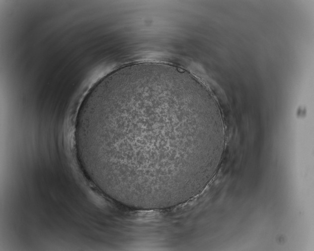 X0000102770050200808251102