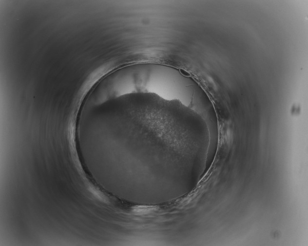 X0000102770051200808251102