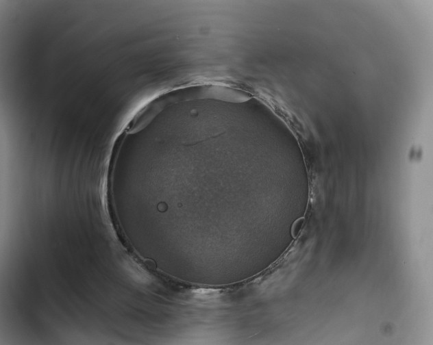 X0000102770052200808251102