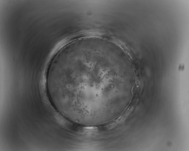 X0000102770053200808251102