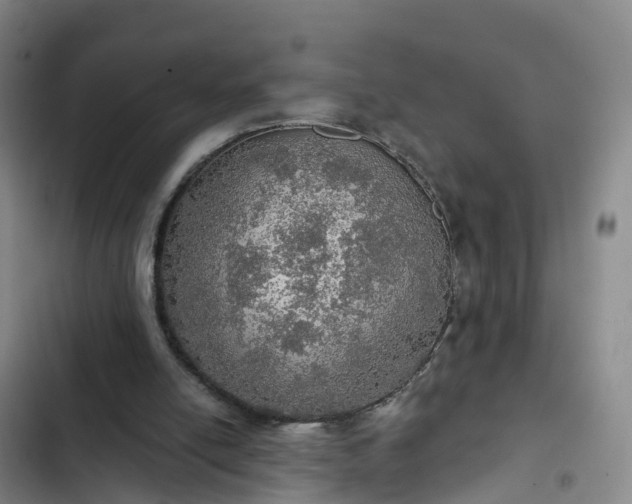 X0000102770054200808251102