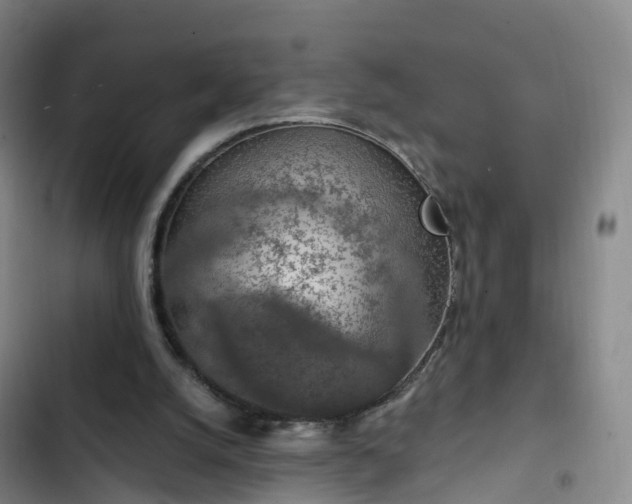 X0000102770056200808251102