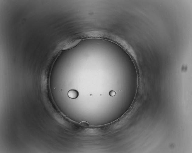 X0000102770057200808251102