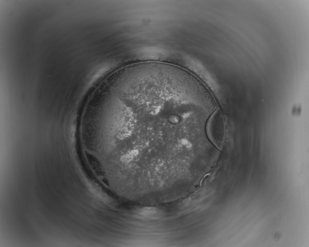 X0000102770058200808251102