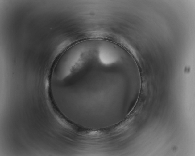 X0000102770059200808251102