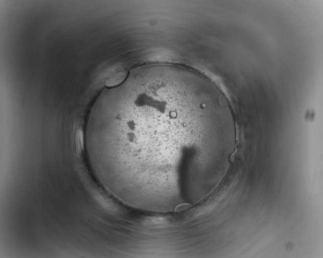 X0000102770061200808251102