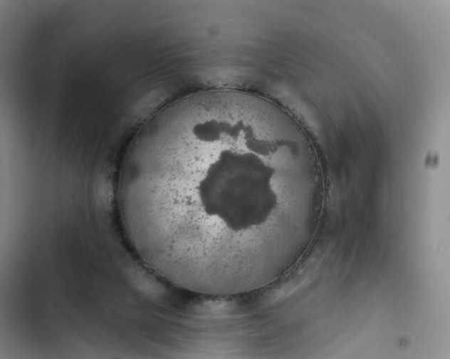 X0000102770065200808251102