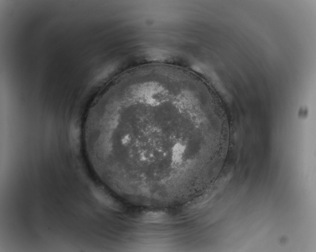 X0000102770066200808251102