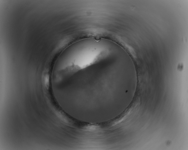 X0000102770067200808251102