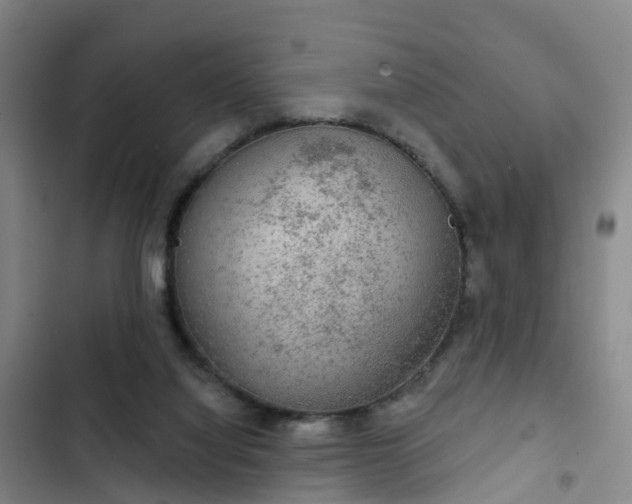 X0000102770068200808251102