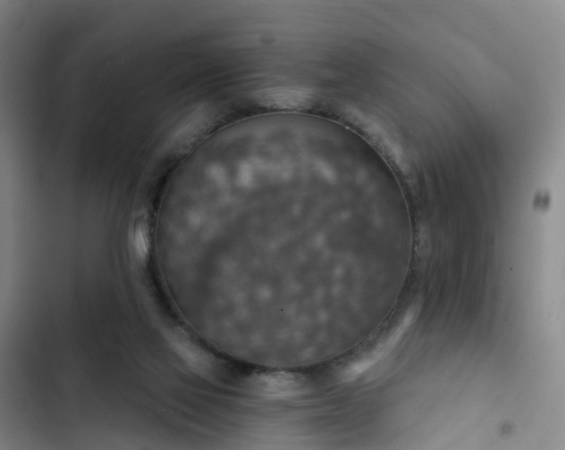 X0000102770069200808251102