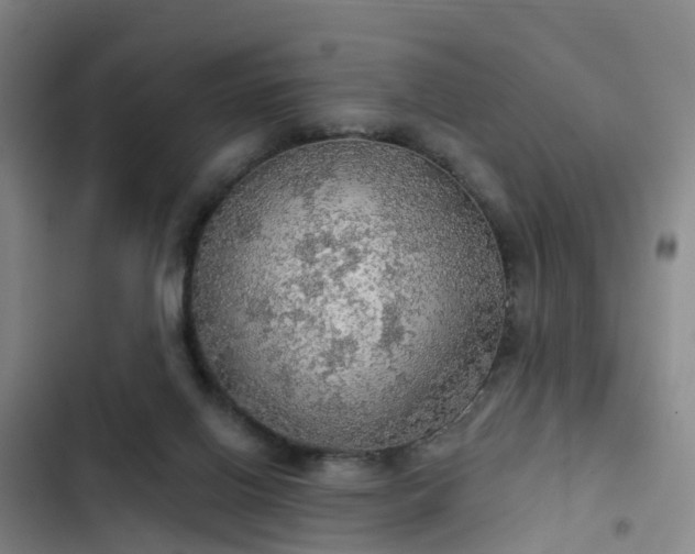 X0000102770070200808251102