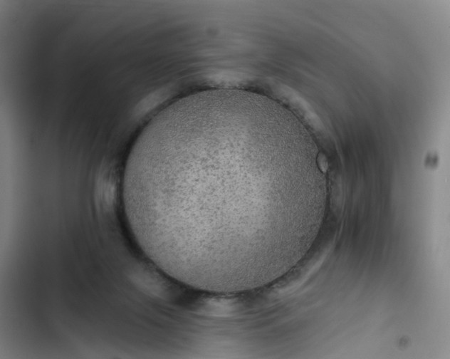 X0000102770071200808251102