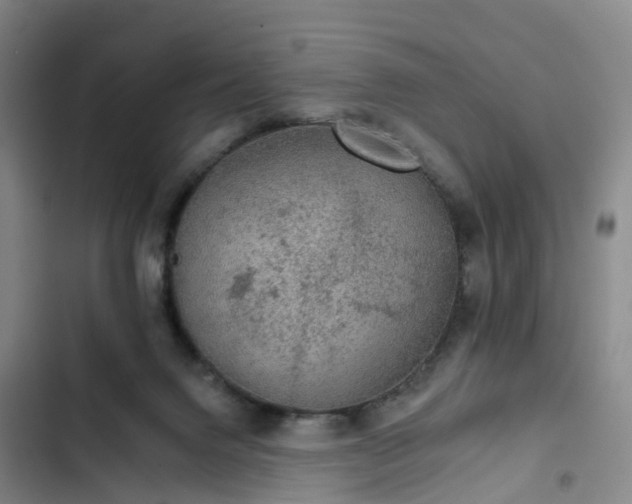 X0000102770072200808251102