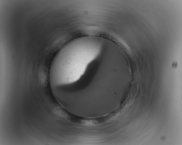 X0000102770073200808251102