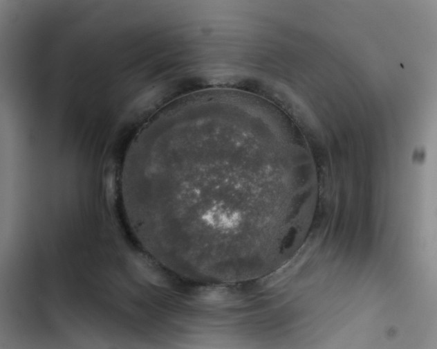 X0000102770074200808251102