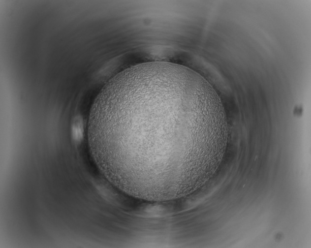 X0000102770075200808251102