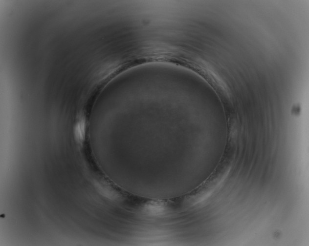 X0000102770076200808251102