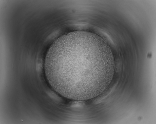 X0000102770077200808251102