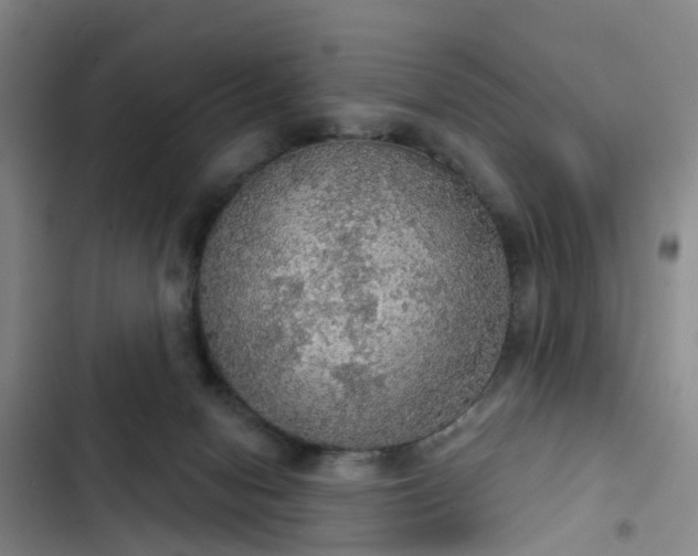 X0000102770078200808251102