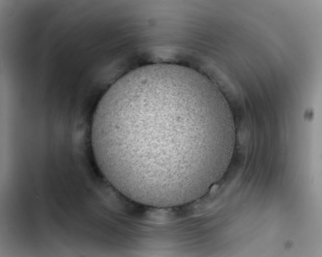 X0000102770079200808251102