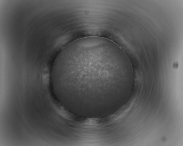 X0000102770080200808251102