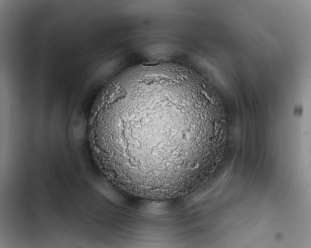 X0000102770081200808251102