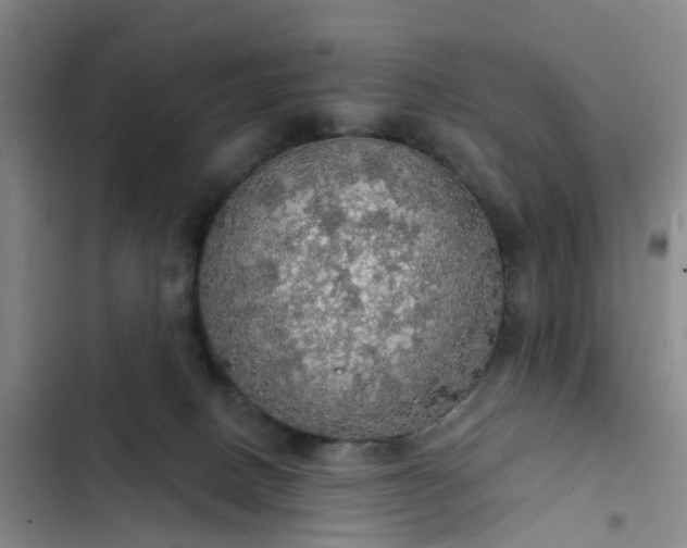 X0000102770082200808251102