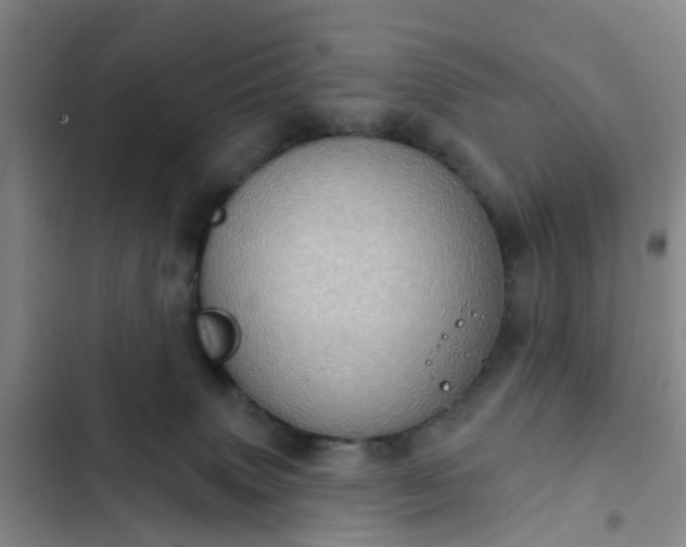 X0000102770083200808251102