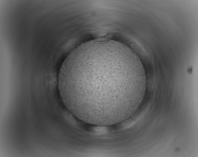 X0000102770085200808251102