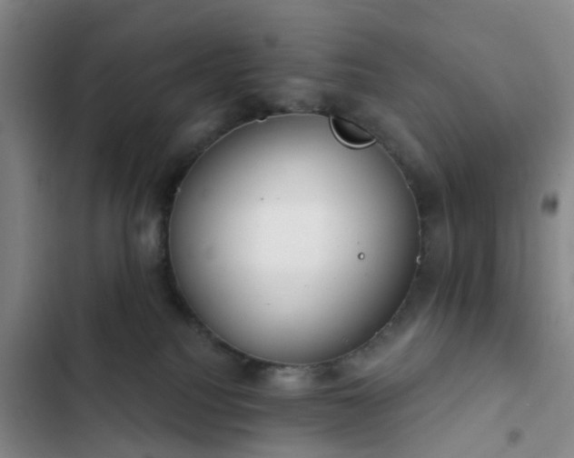 X0000102770088200808251102