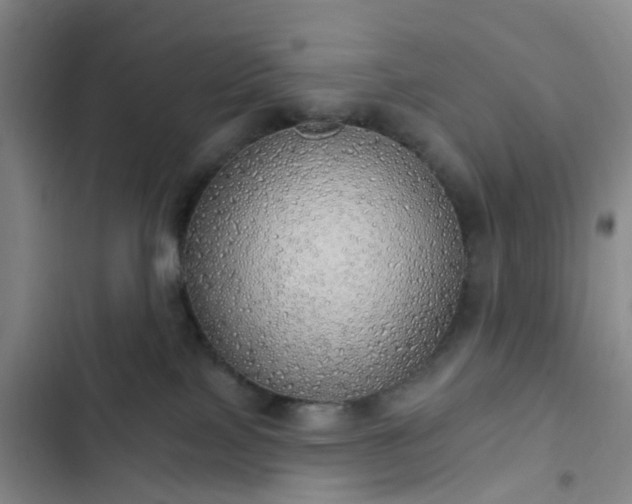 X0000102770089200808251102