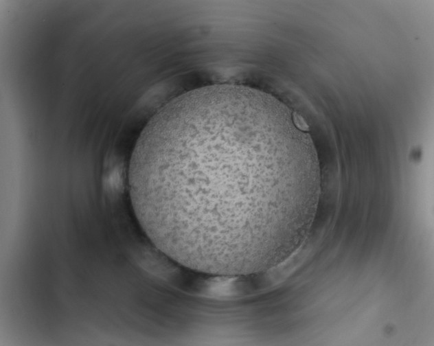 X0000102770090200808251102