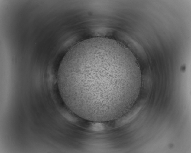 X0000102770091200808251102