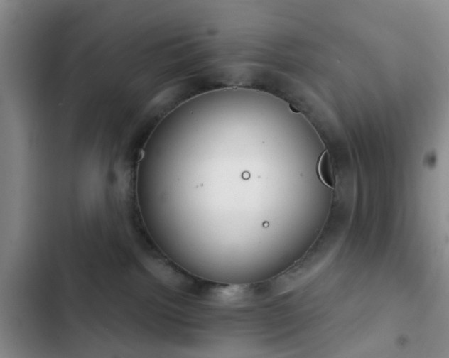 X0000102770092200808251102